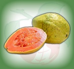 guayaba_comun.jpg