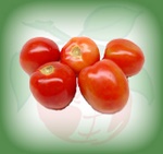 tomate_chonto.jpg